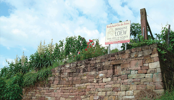 domaine-loew